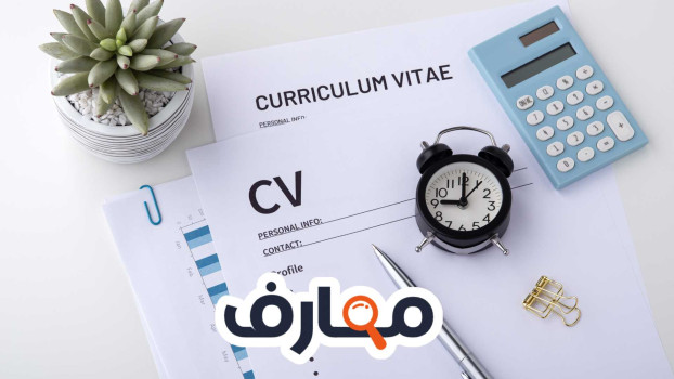 السيرة الذاتية